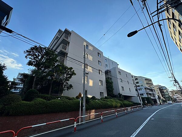 外観：313004942844