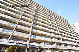 ウインヒルズジェームス山