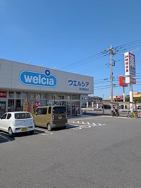 ウエルシア草加柳島店 約570ｍ