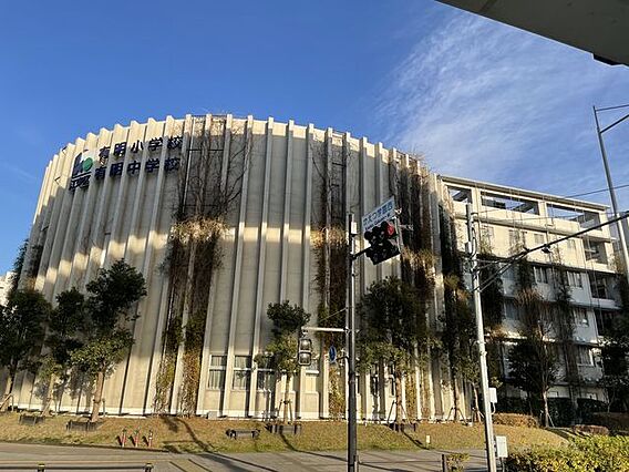 江東区立有明小...