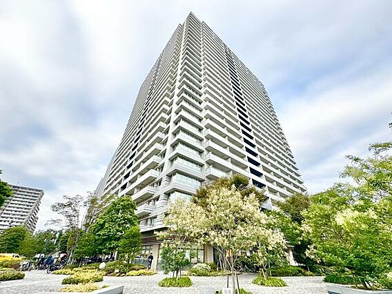 上質で洗練され...