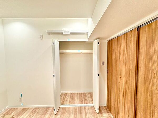 スーツやドレス、ロングコートなどの衣類はもちろん、季節の生活用品やスーツケースもしっかり収納できます。