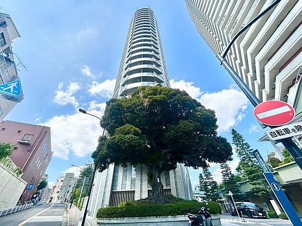 おしゃれな雰囲気や自然の潤い、親しみやすさといった個性を、街に新たな価値をもたらし続けてくれます。
