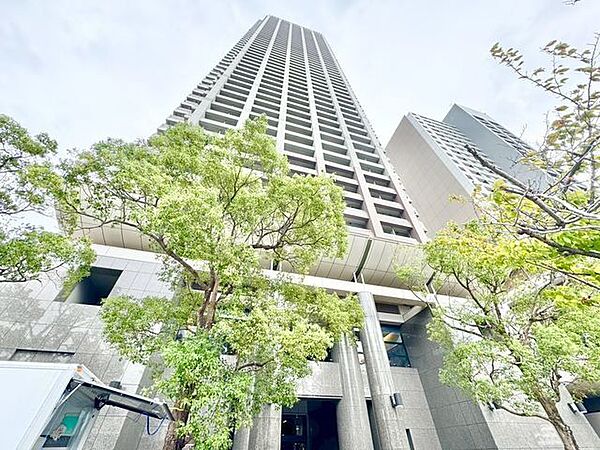 外観：313004716205