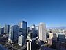 その他：広い空と遠くにそびえ立つビルディング。バルコニーからは都会ならではの景色があります。バルコニーに出た時には、頬をなでる優しい風を感じることが出来ます。つい深呼吸をしたくなる眺望です。