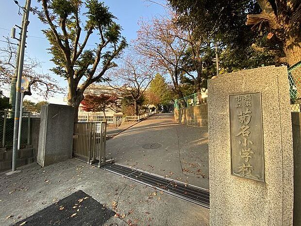 横浜市立菊名小学校 500m