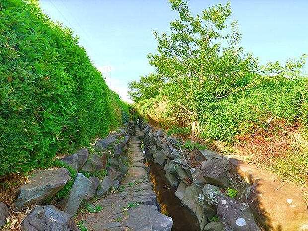 獅子ケ谷市民の森 750m