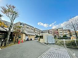 ダイアパレス等々力緑地