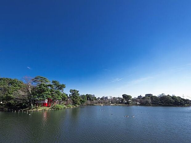 洗足池公園 260m