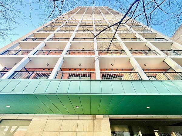 外観：313004530567