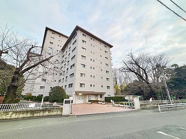 外観：313004645143