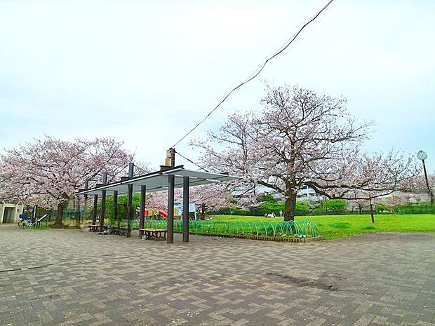 桜川公園 180m