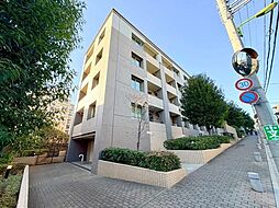 フューズ・コート175