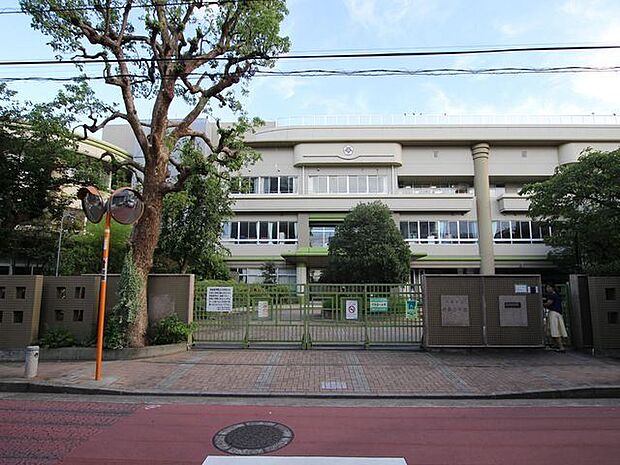 川崎市立井田小学校 900m
