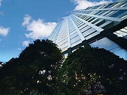 TOKYO SEA SOUTHブランファーレ