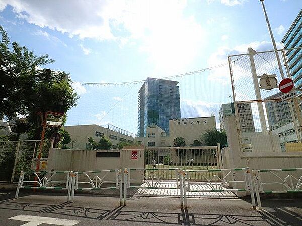 渋谷区立神南小学校 230m