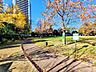 周辺：中央区立黎明橋公園 260m