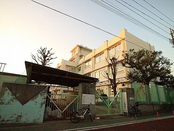 川崎市立向小学校 40m