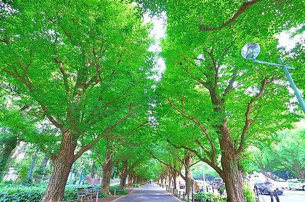 明治神宮外苑 1800m
