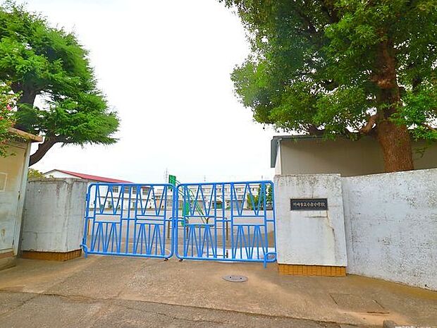 川崎市立小倉小学校 500m