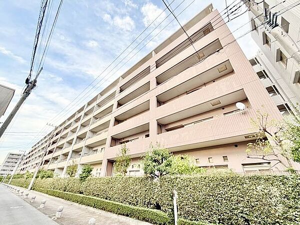 外観：314002699444