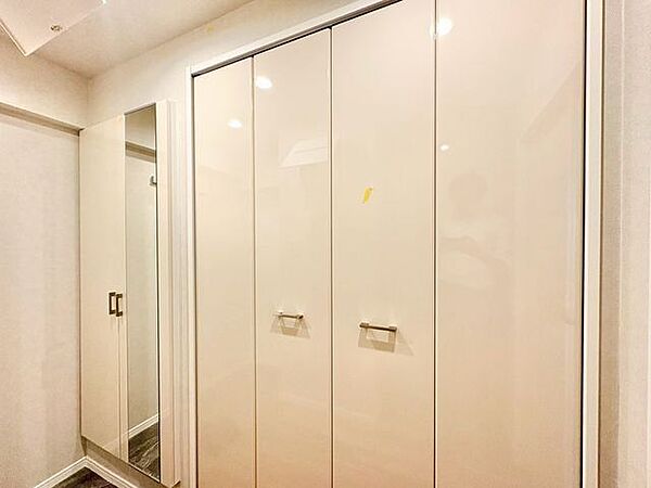 毎日の行き帰りで使う大事な玄関は、清潔感があり、明るく迎えてくれます。