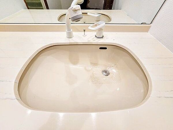 ワンタッチで切り替えが可能なシャワー水栓。リラックスして優雅なひと時をお過ごしください。
