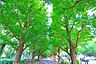周辺：明治神宮外苑 850m
