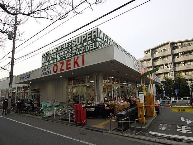 スーパーオオゼキ大森北店 500m