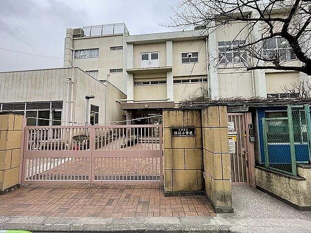 大田区立開桜小学校 500m