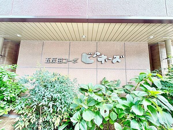 時を重ねるほど魅力を増すヴィンテージマンション。永く大切に住まわれてきた風格があります。