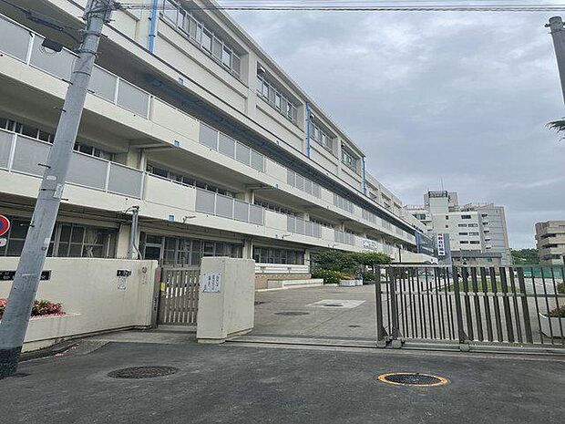 江東区立第三砂町小学校 480m