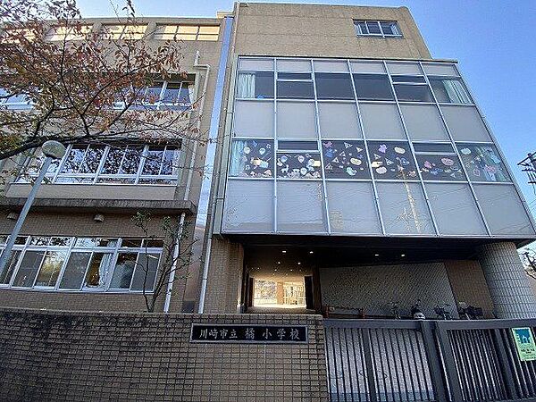 川崎市立橘小学校 700m