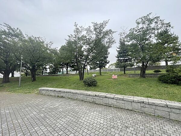東雲水辺公園 500m