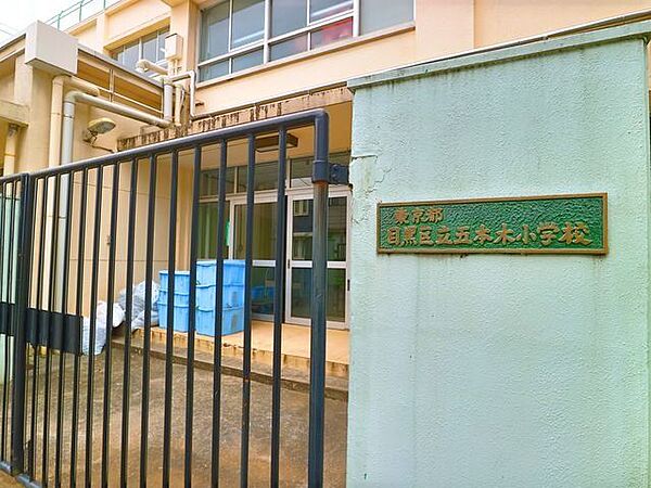 目黒区立五本木小学校 220m