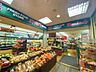周辺：スーパー文化堂勝どき店 220m