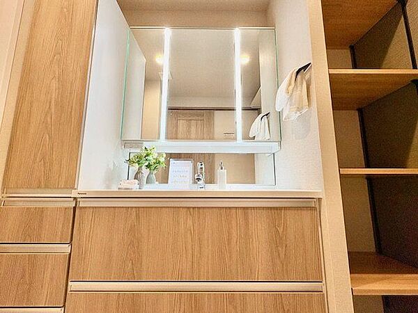 一日の始まりと終わりを心地よく演出してくれる、多彩な機能が備えられたパウダールーム。