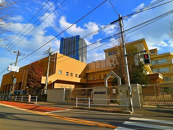 新宿区立新宿西戸山中学校 1100m