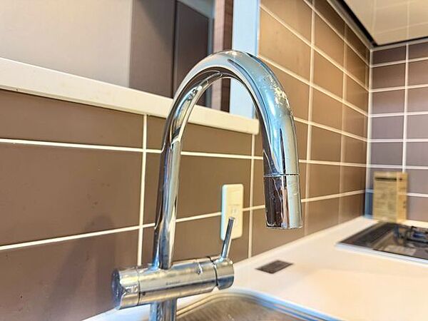 キレイなお水がいつでも、安心して飲める浄水器内蔵型水栓付き。