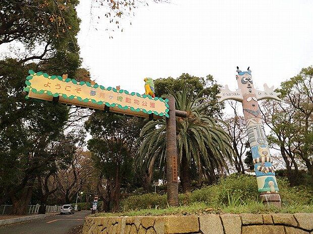 夢見ヶ崎動物公園 500m
