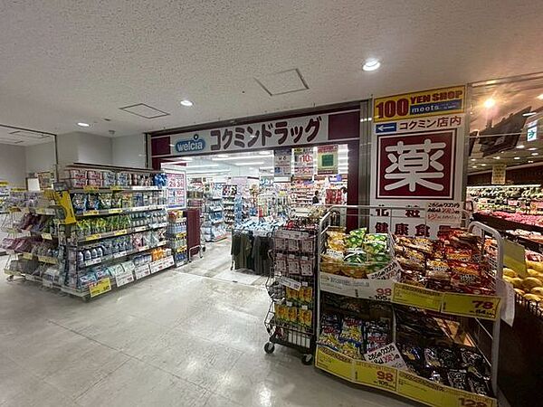 コクミンドラッグ川崎パレール店 450m