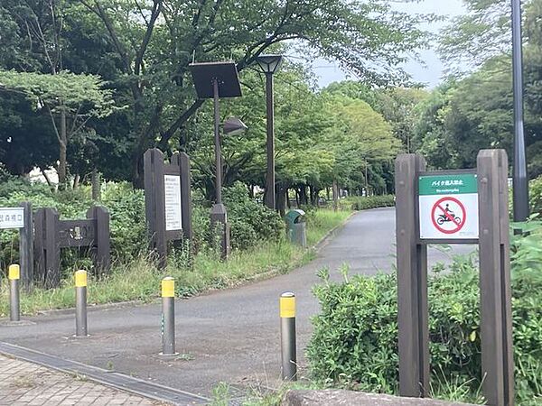木場公園 550m