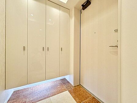 玄関はお家の顔としてすっきりとした素敵な空間に。印象のよい玄関は爽やかな住まいへの入り口です。