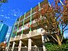周辺：品川区立荏原平塚学園 400m