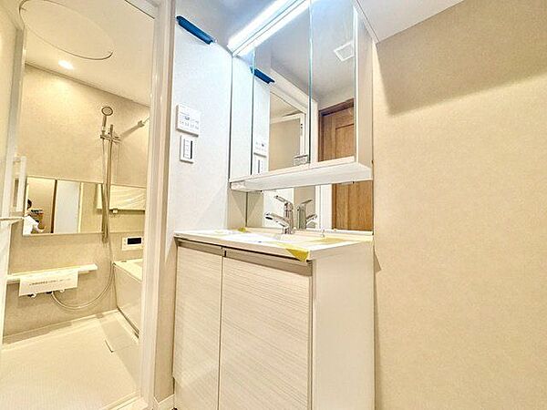 一日の始まりと終わりを心地よく演出してくれる、多彩な機能が備えられたパウダールーム。