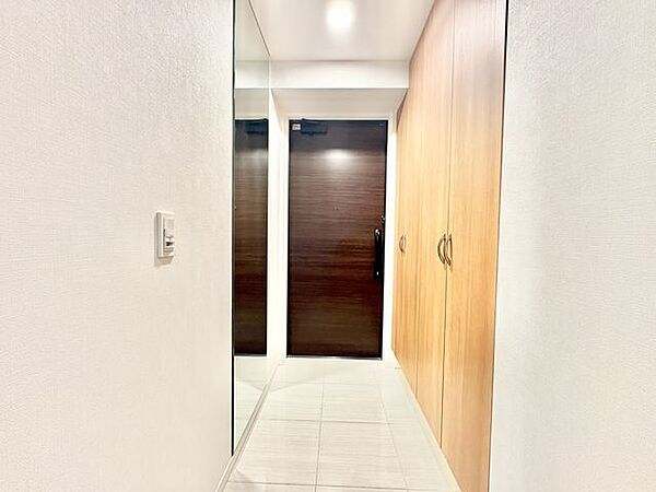 玄関はお家の顔としてすっきりとした素敵な空間に。印象のよい玄関は爽やかな住まいへの入り口です。