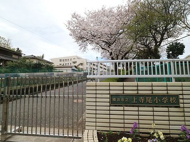 横浜市立上寺尾小学校 700m