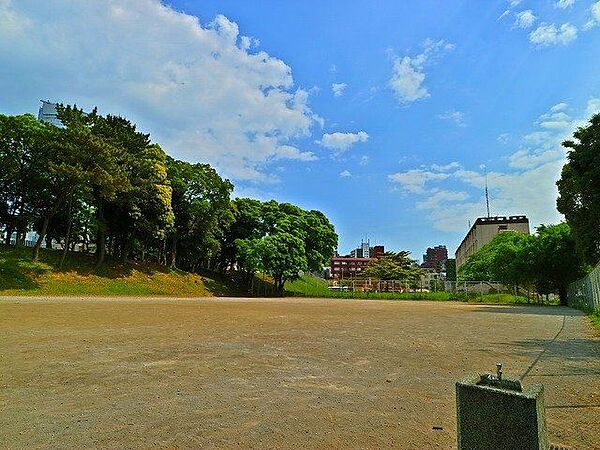 都立青山公園 650m