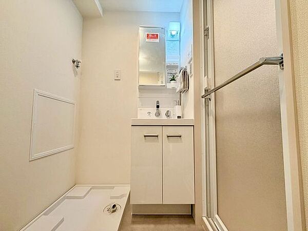 一日の始まりと終わりを心地よく演出してくれる、多彩な機能が備えられたパウダールーム。