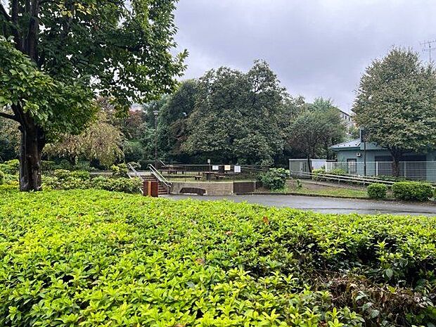 渋沢金井公園 800m